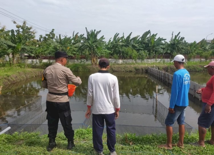Manfaatkan Fasum untuk Budidaya Lele, Warga Keboharan Dapat Apresiasi dari Bhabinkamtibmas